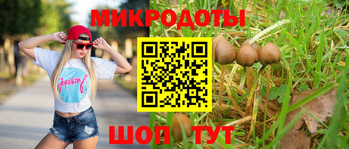 Галлюциногенные грибы ЛСД  купить наркотик  Канаш  Галлюциногенные грибы MAGIC MUSHROOMS  Вход с VPN 